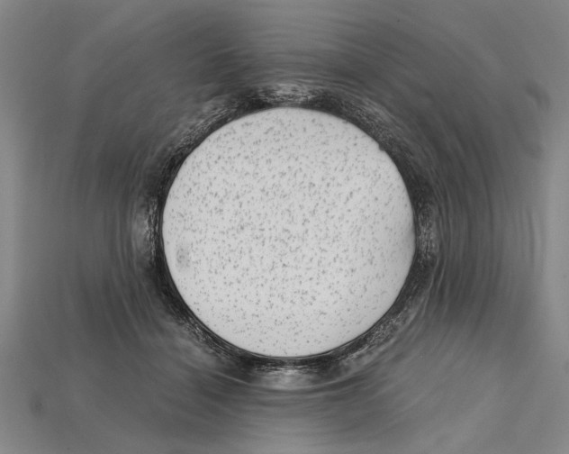 X0000114430460200911131335