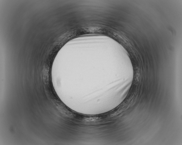 X0000114430461200911131335