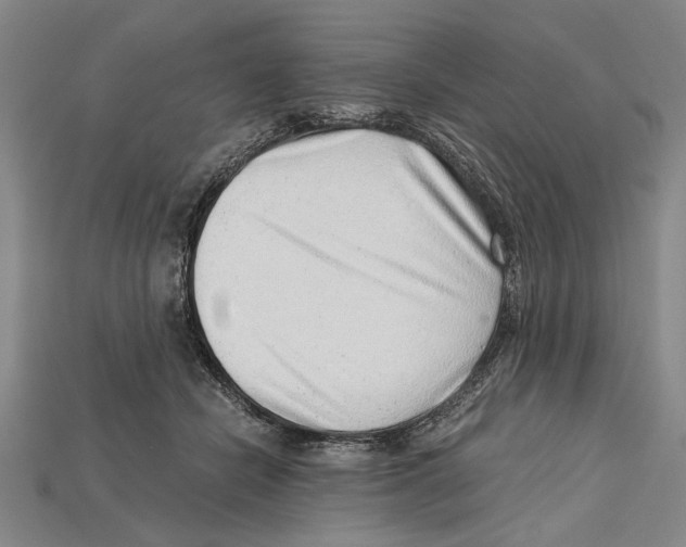 X0000114430462200911131335