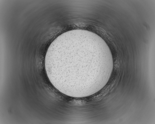 X0000114430464200911131335