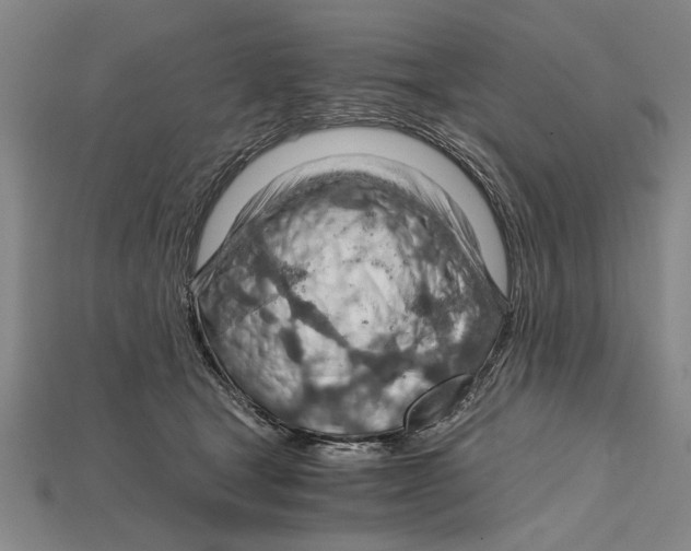 X0000114430465200911131335