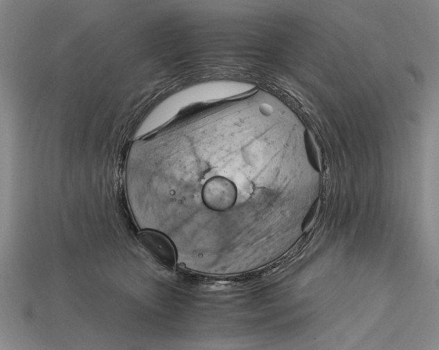 X0000114430467200911131335