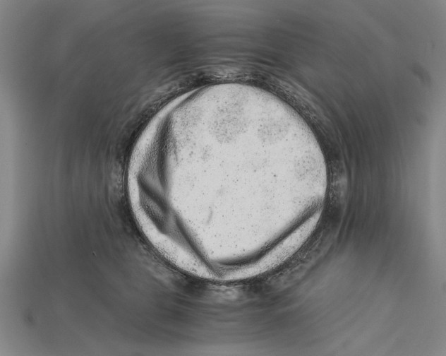 X0000114430469200911131335