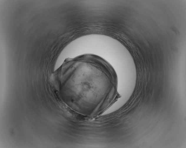 X0000114430471200911131335