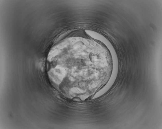 X0000114430475200911131335