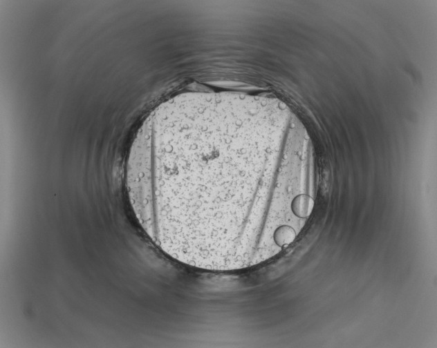 X0000114430476200911131335