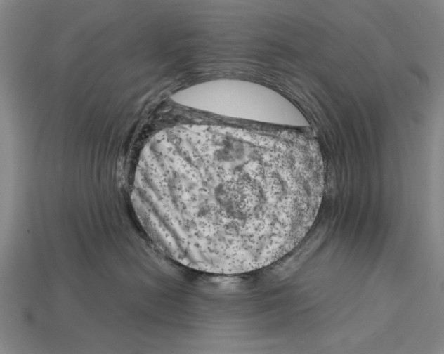 X0000114430478200911131335