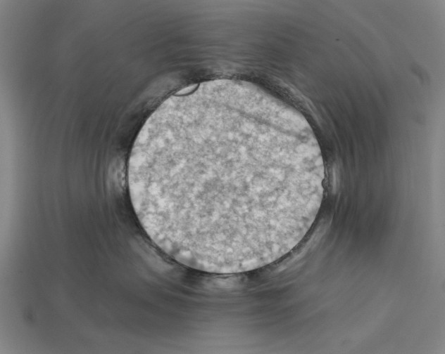 X0000114430479200911131335