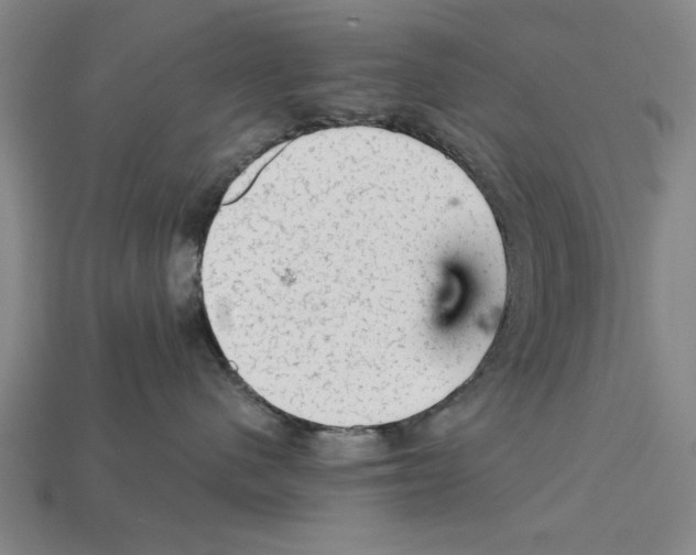 X0000114430480200911131335