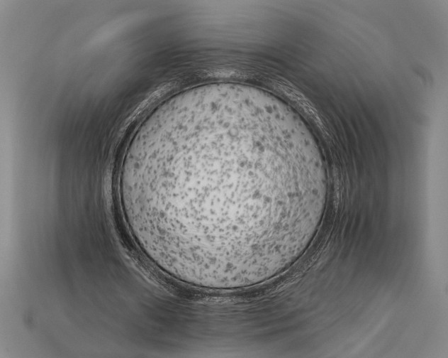 X0000114430482200911131335