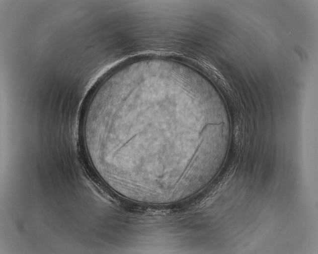 X0000114430484200911131335