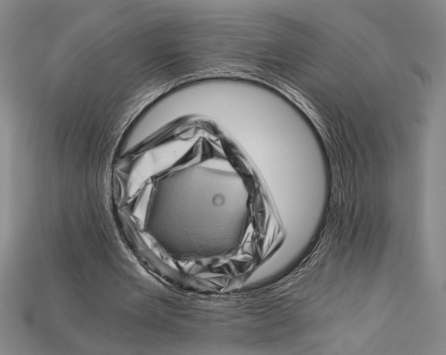 X0000114430485200911131335