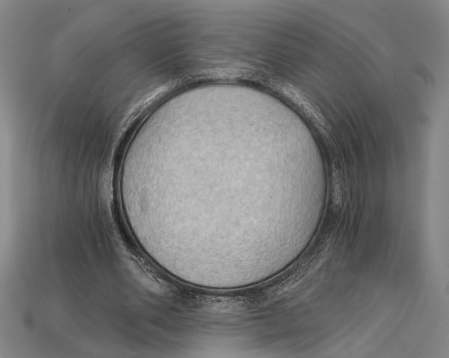 X0000114430486200911131335