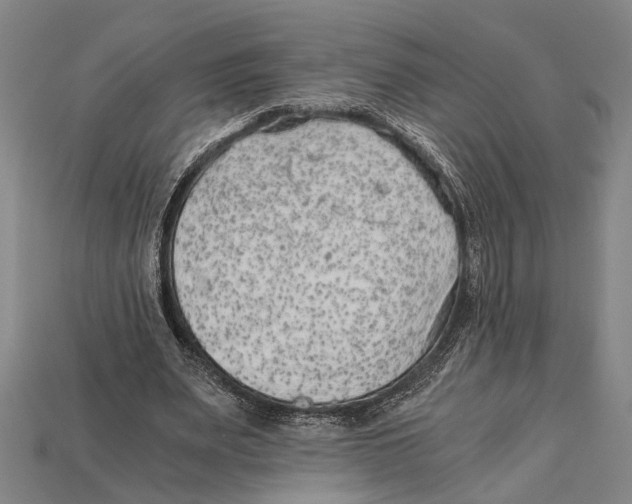 X0000114430487200911131335