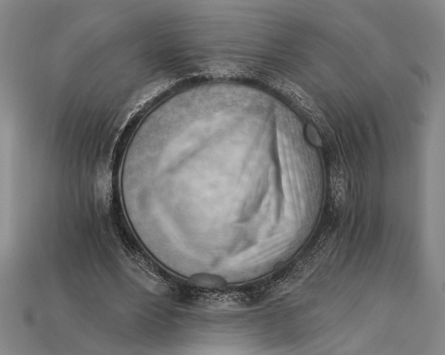 X0000114430488200911131335