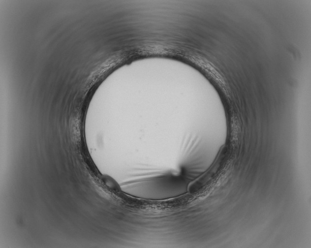 X0000114430489200911131335