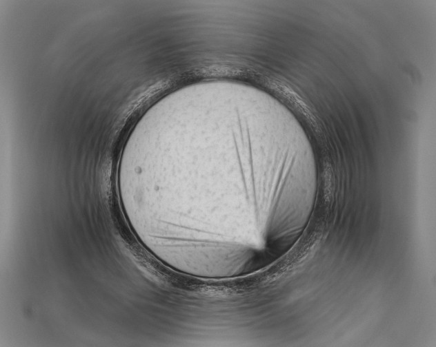 X0000114430490200911131335