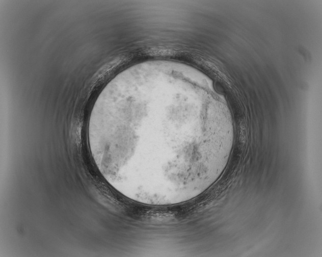 X0000114430491200911131335