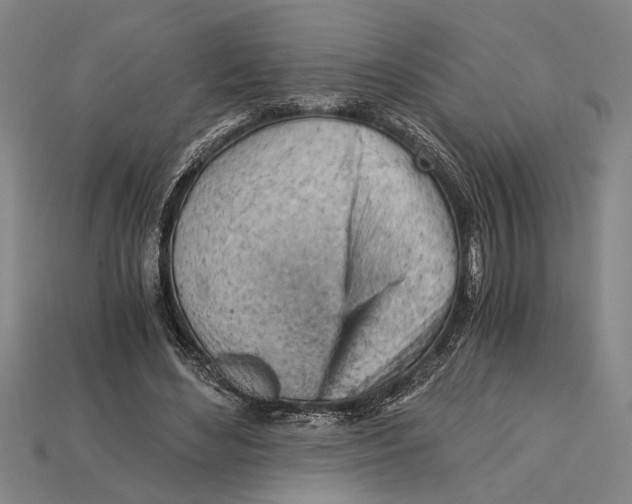 X0000114430492200911131335