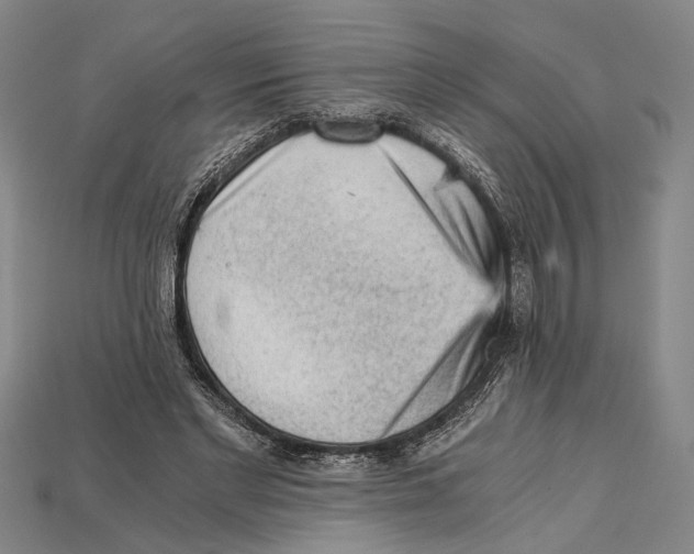 X0000114430493200911131335