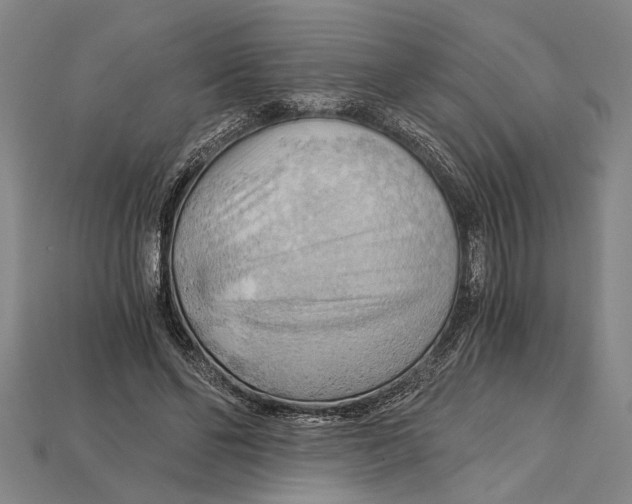 X0000114430494200911131335