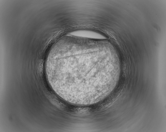 X0000114430495200911131335