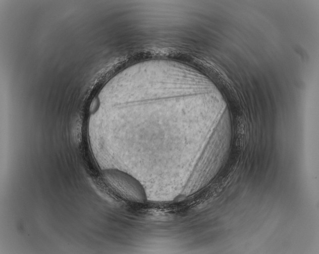 X0000114430496200911131335