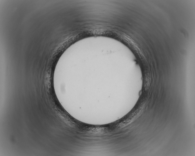 X0000114430497200911131335