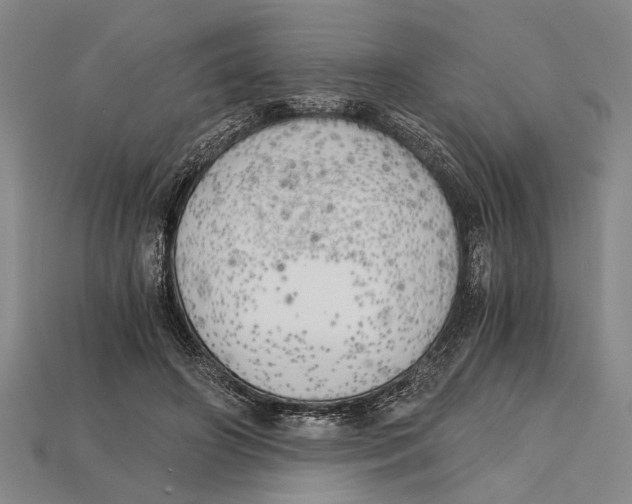 X0000114430498200911131335