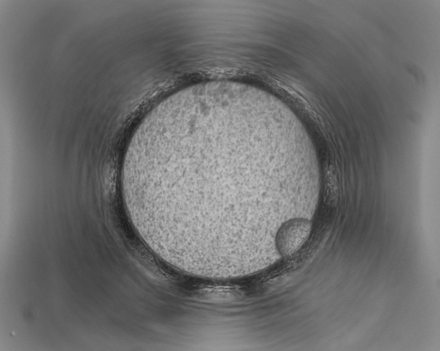 X0000114430499200911131335