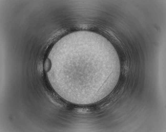 X0000114430500200911131335