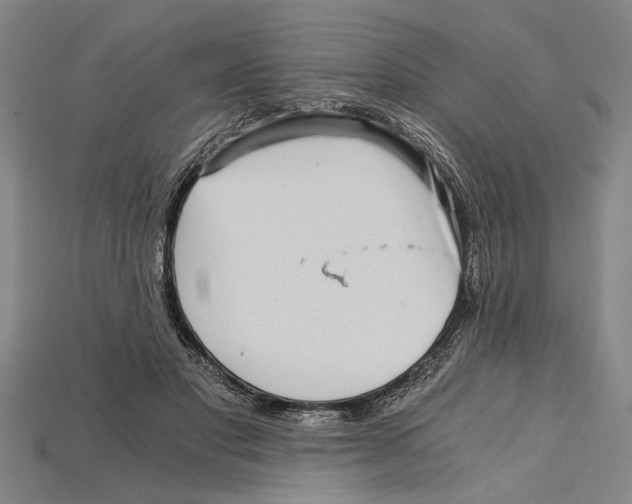 X0000114430501200911131335