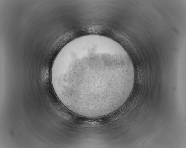 X0000114430502200911131334