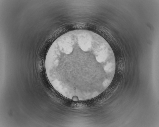 X0000114430503200911131334