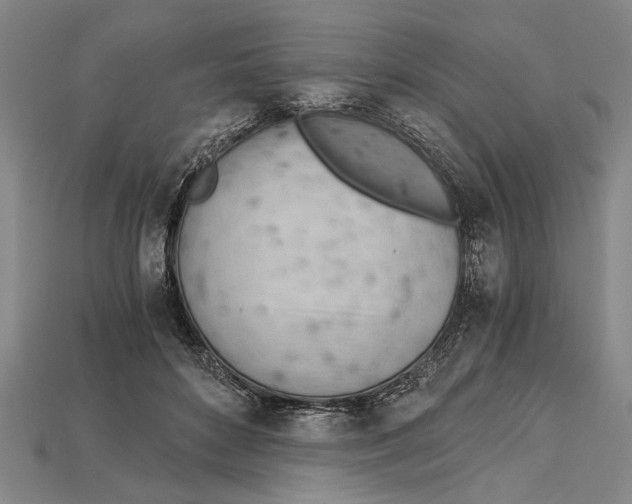 X0000114430504200911131334