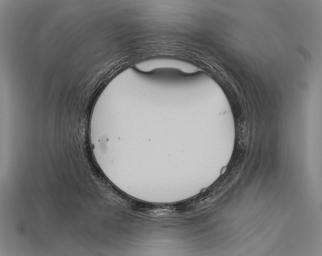 X0000114430505200911131334