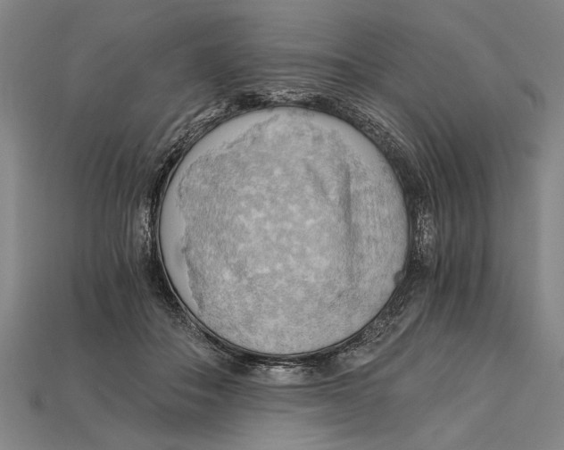 X0000114430506200911131334