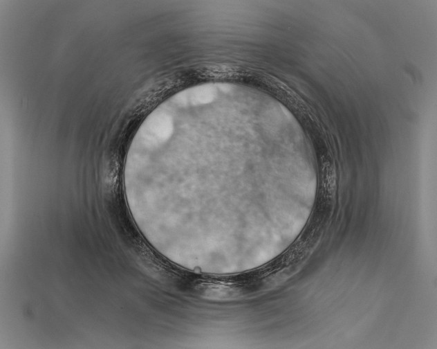 X0000114430507200911131334