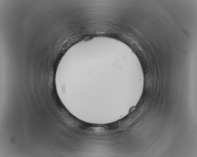 X0000114430509200911131334