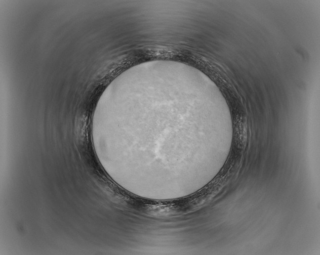 X0000114430511200911131334