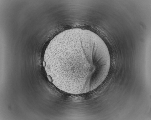 X0000114430512200911131334