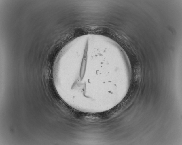 X0000114430515200911131334