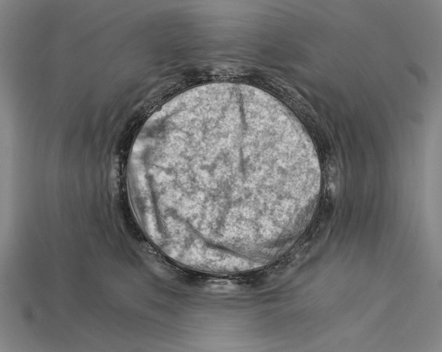 X0000114430519200911131334