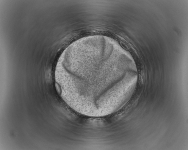 X0000114430520200911131334