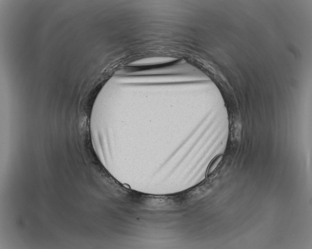 X0000114430521200911131334