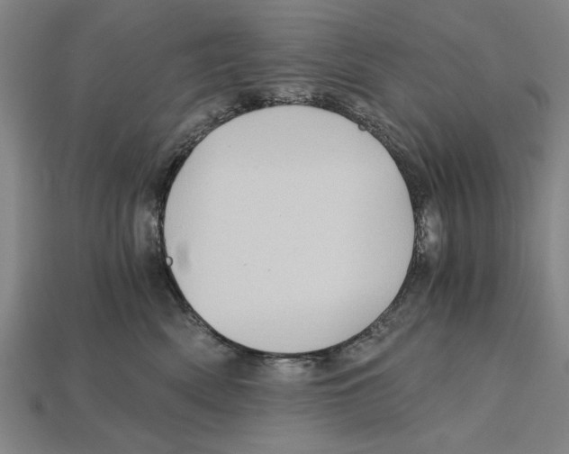 X0000114430522200911131334