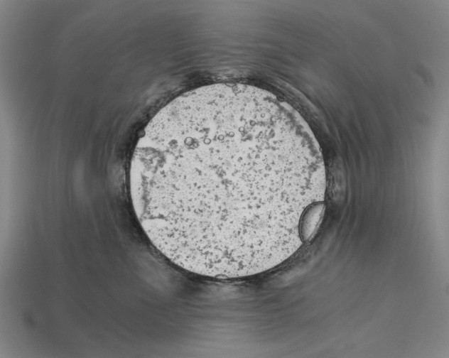 X0000114430523200911131334