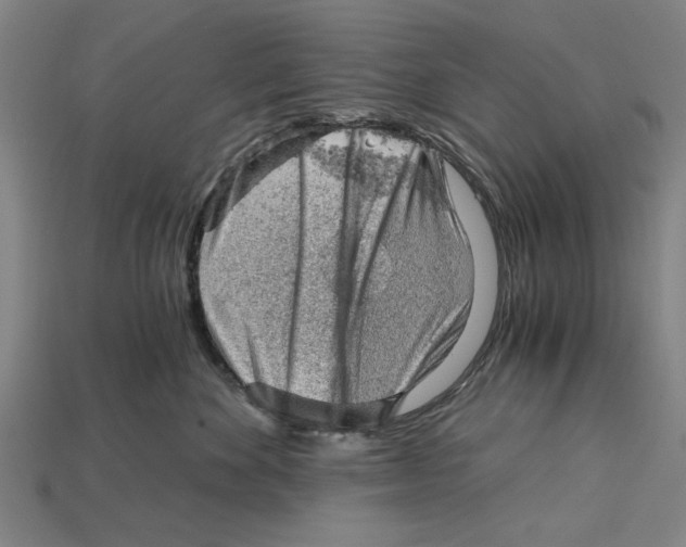 X0000114430524200911131334