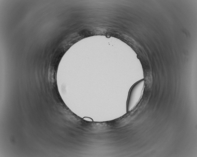 X0000114430525200911131334