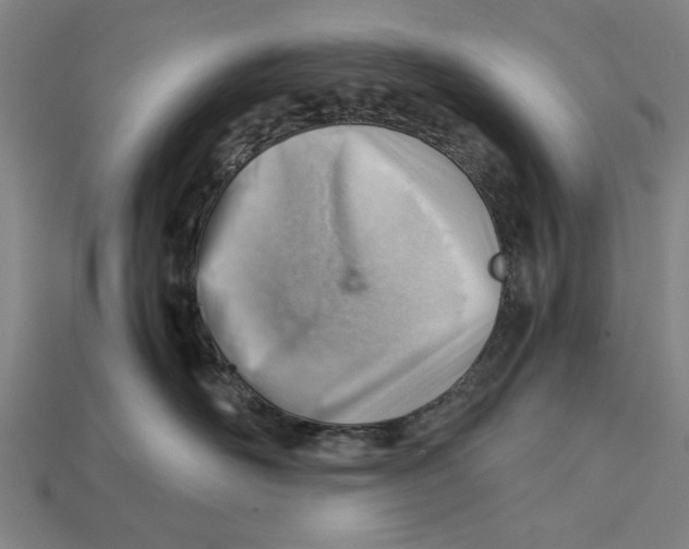 X0000114430526200911131334